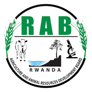 RAB